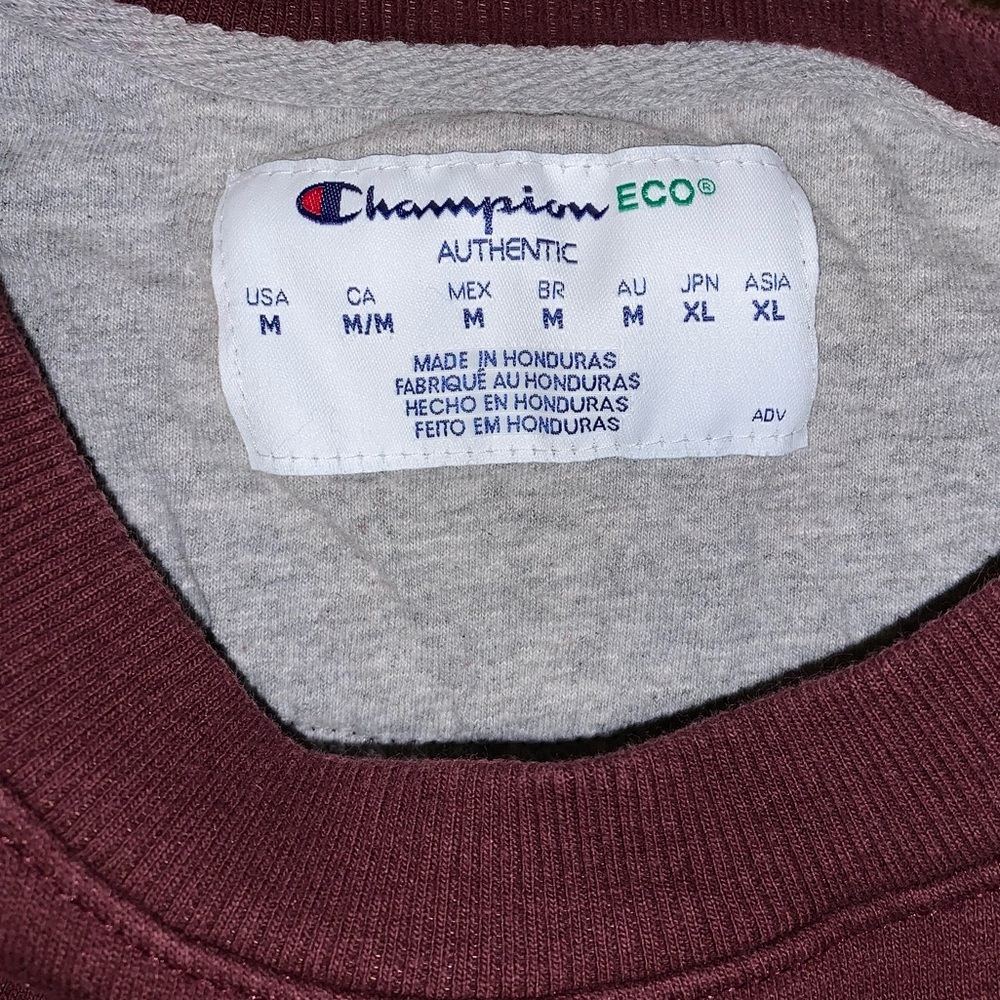 Champion hoodie